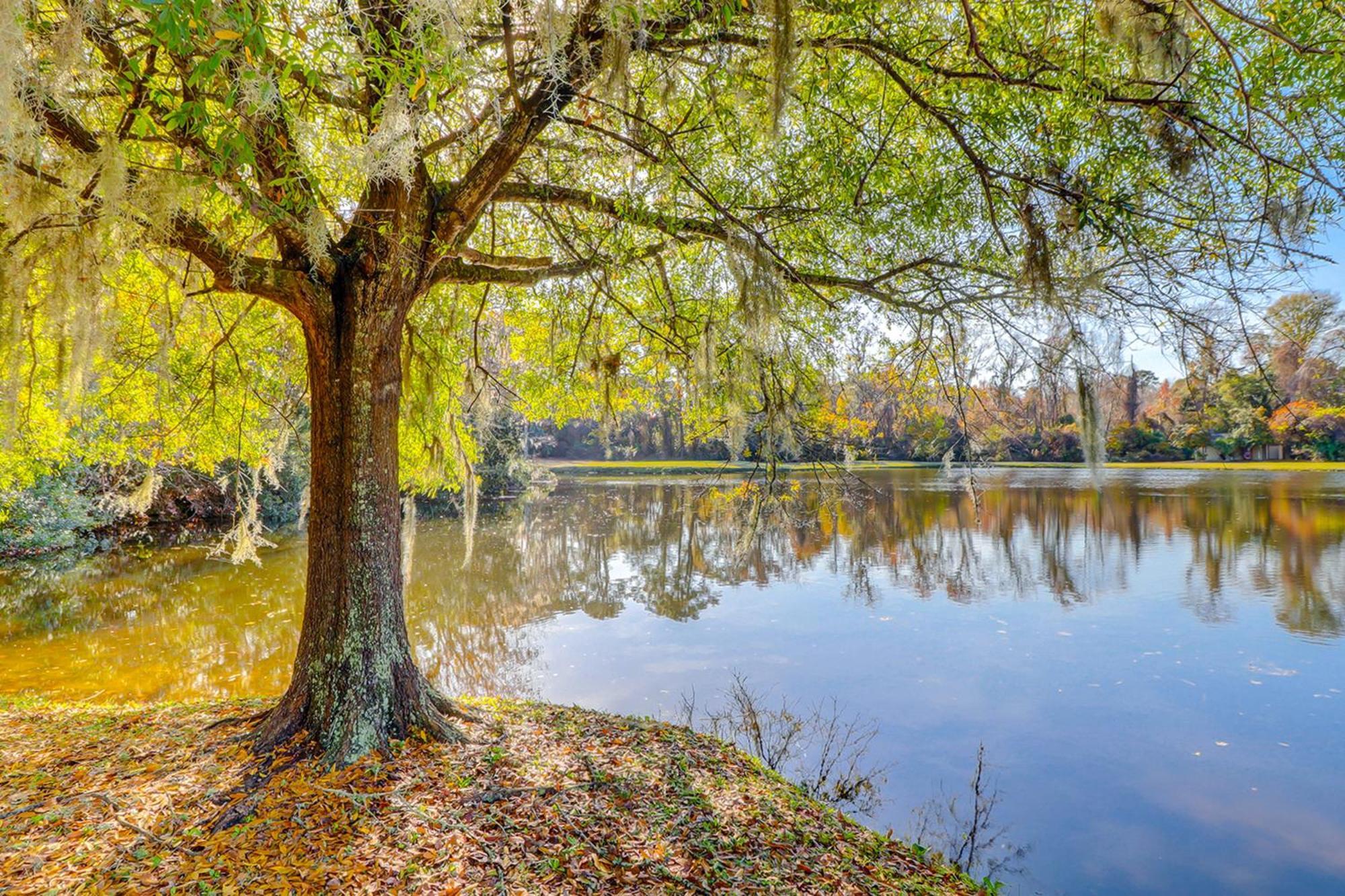 Harbour Master 503 Apartment Hilton Head Island Bagian luar foto